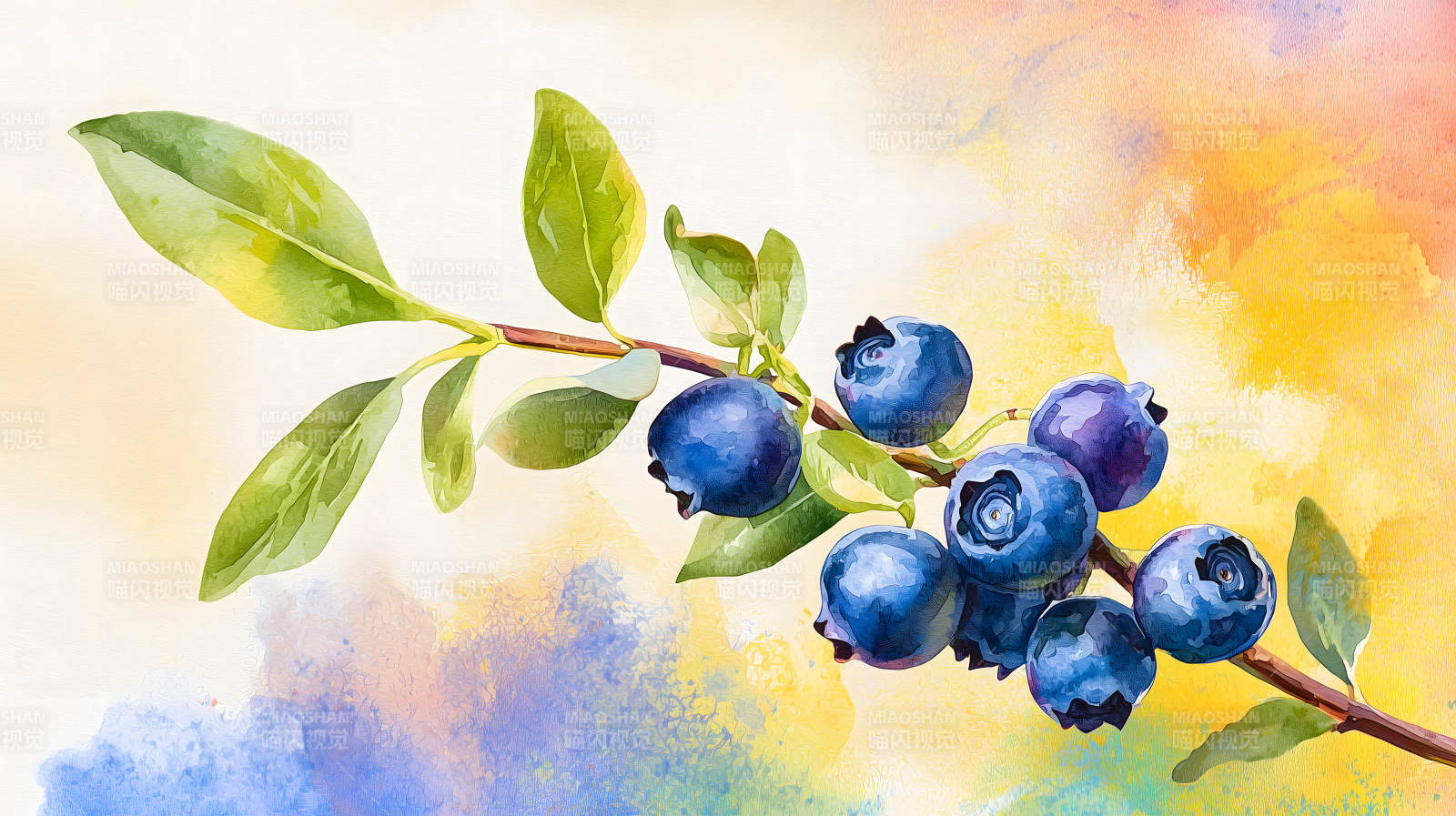 水彩蓝莓的清新画意图片