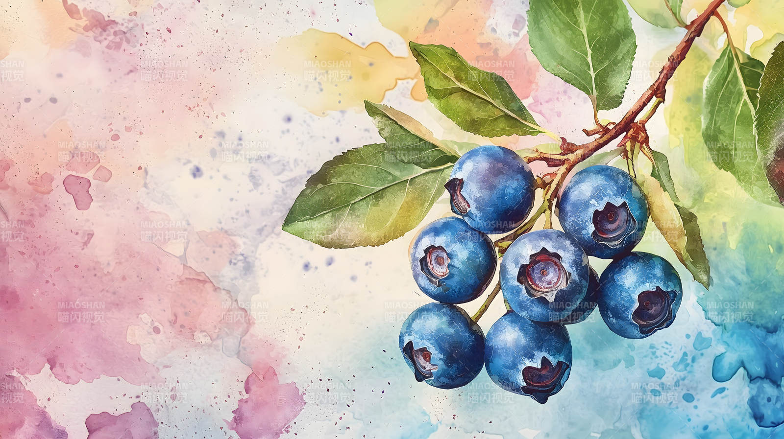 水彩蓝莓的清新画意图片