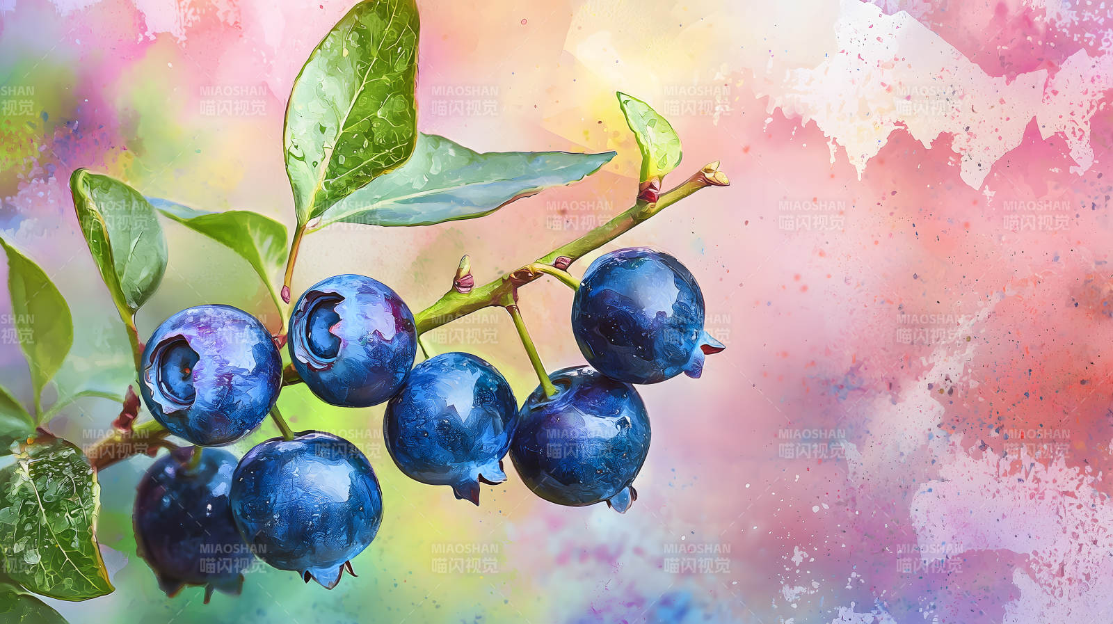 水彩蓝莓的清新画意图片