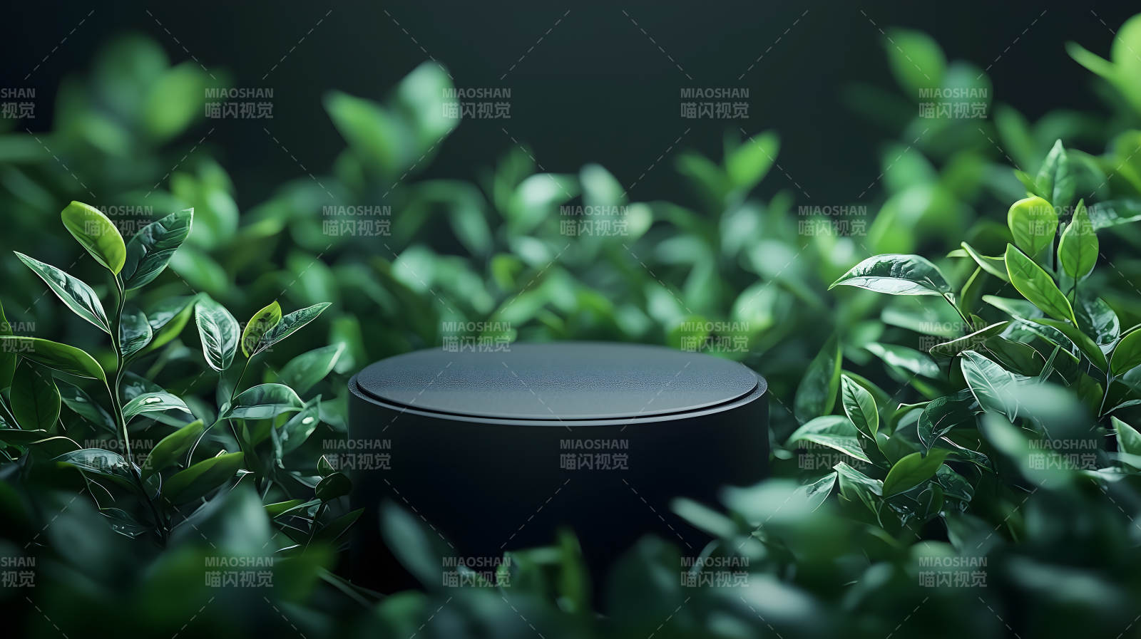 绿植点缀的极简空间图片