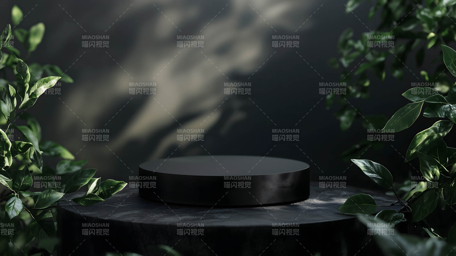 绿植点缀的极简空间图片