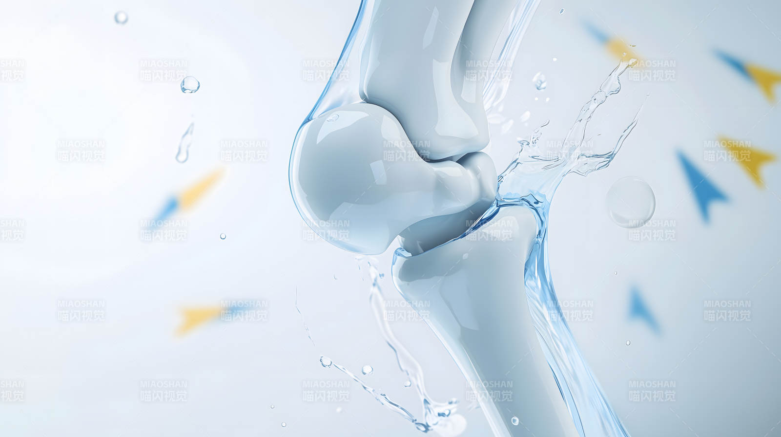 关节健康呵护图片