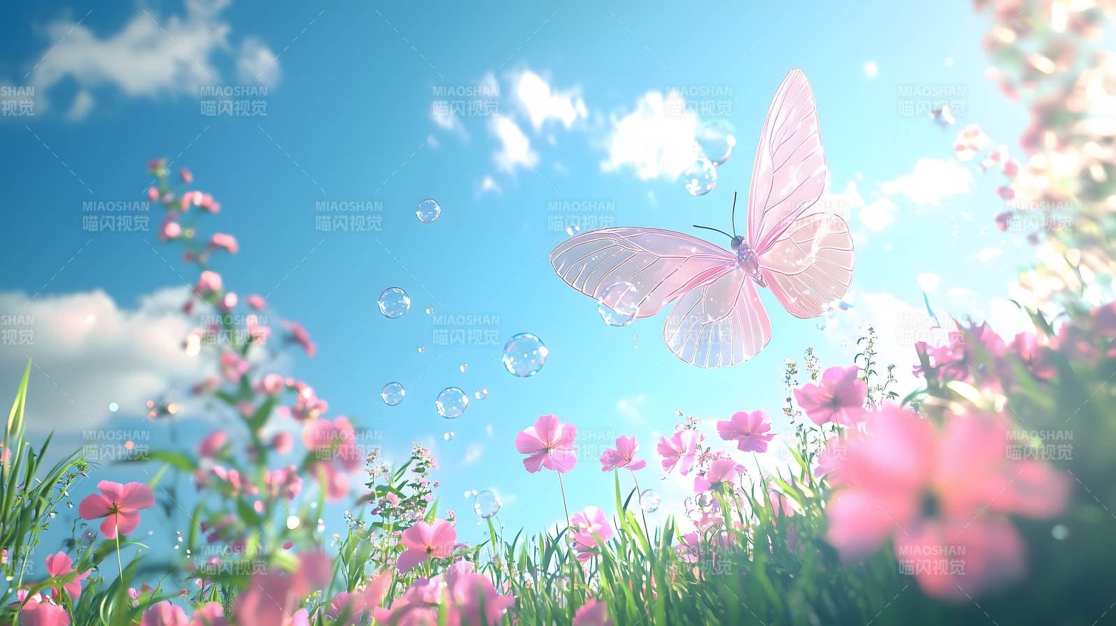 玫瑰园中的梦幻蝶舞图片