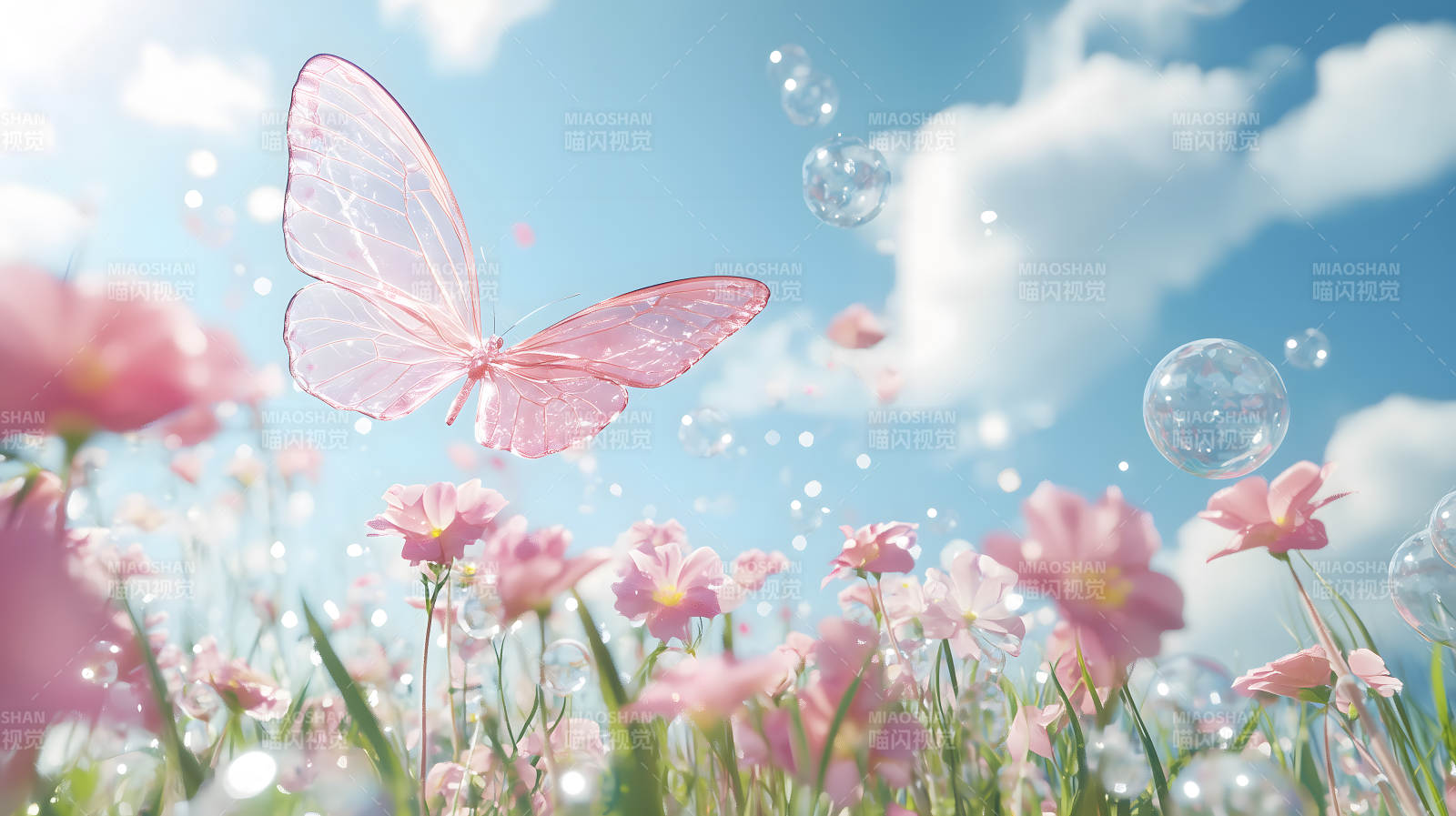 玫瑰园中的梦幻蝶舞图片