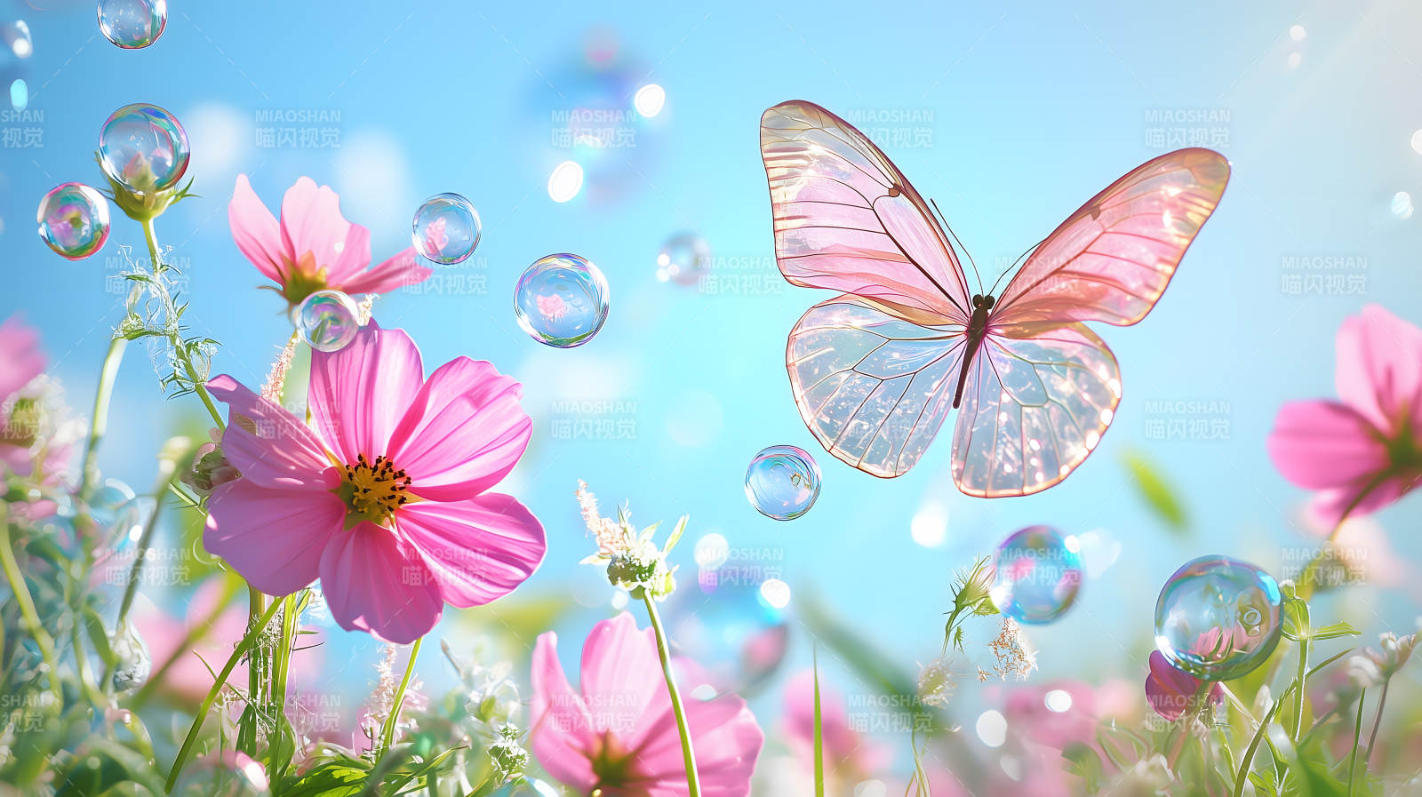 玫瑰园中的梦幻蝶舞图片