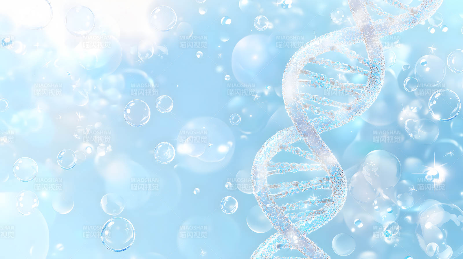 DNA双螺旋的生命奥秘图片