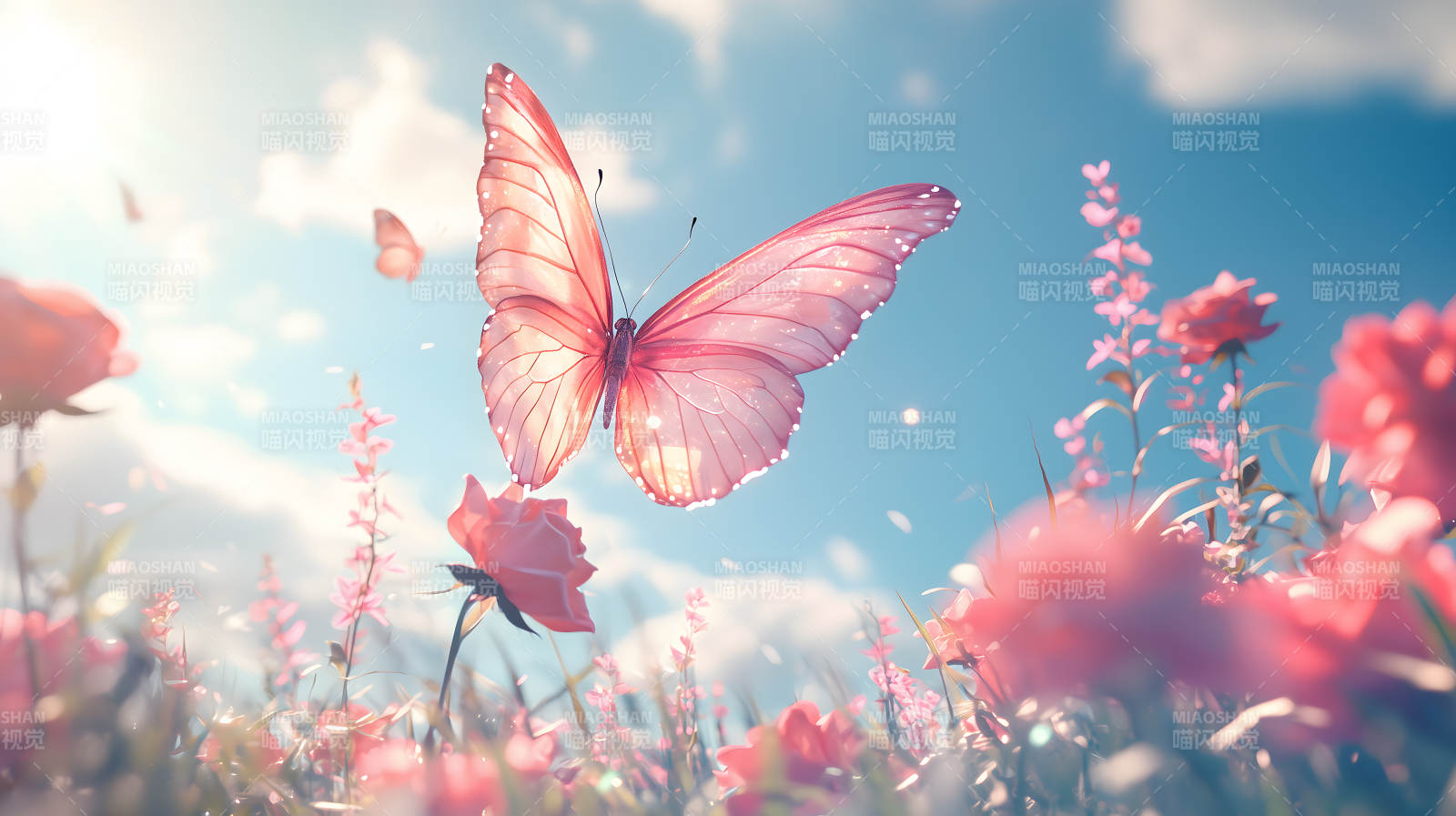 玫瑰园中的梦幻蝶舞图片