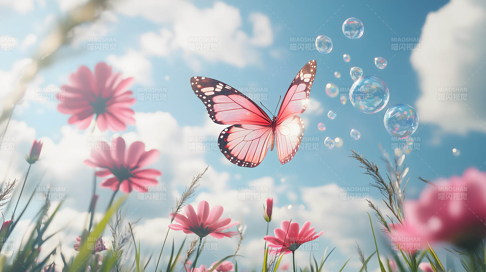 玫瑰园中的梦幻蝶舞图片