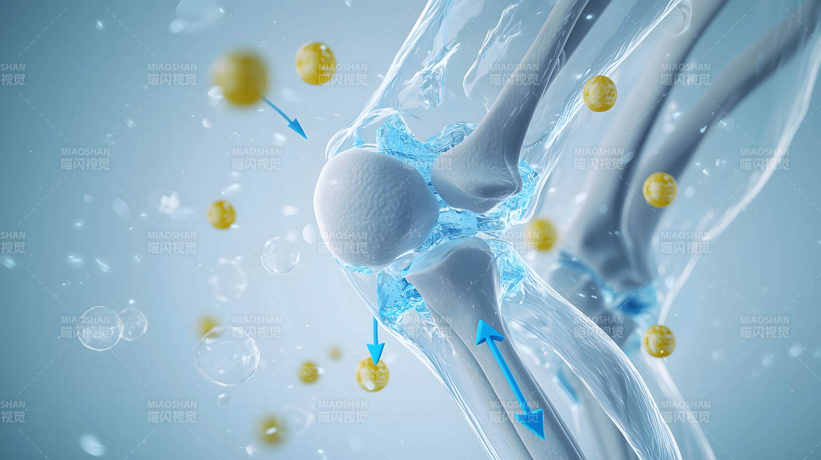 关节健康呵护图片