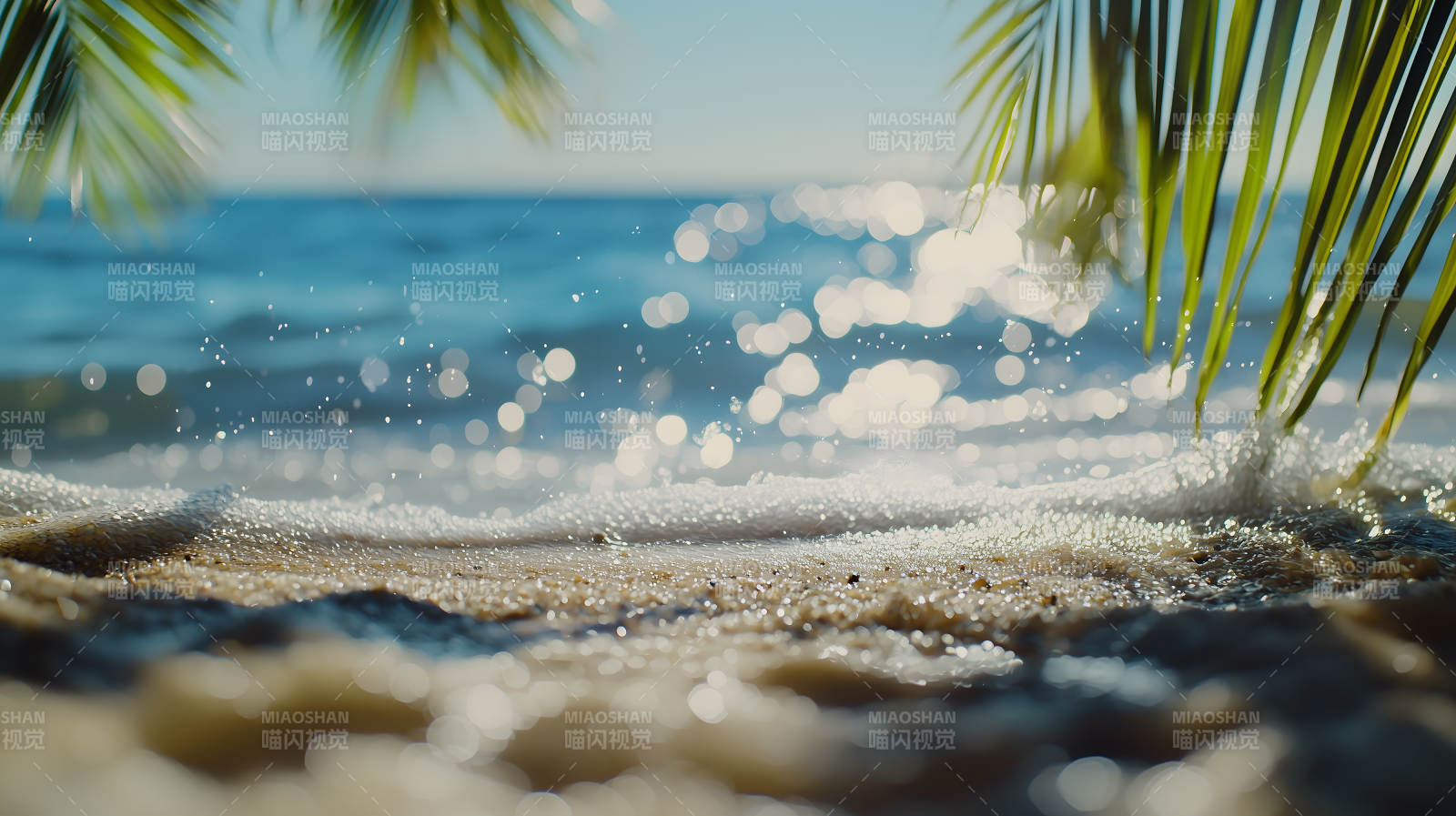 夏日海滩浪花闪烁棕榈添情图片