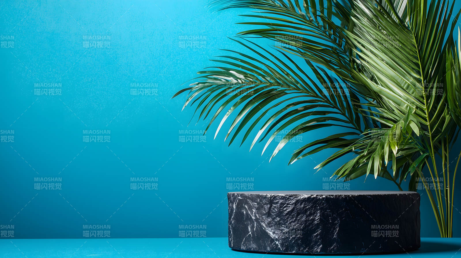 蓝色背景中带棕榈叶的黑色大理石展台图片