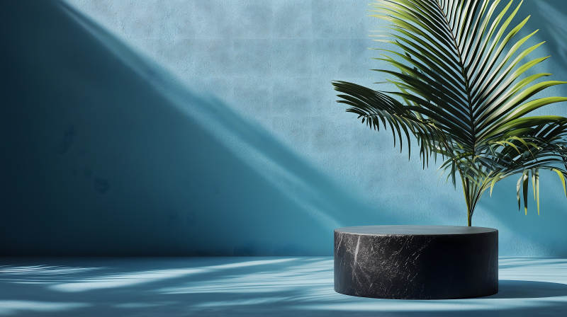 蓝色背景中带棕榈叶的黑色大理石展台图片