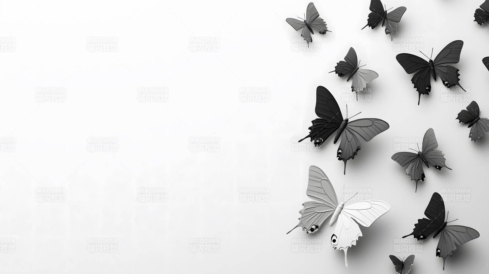 黑白蝴蝶群像图片