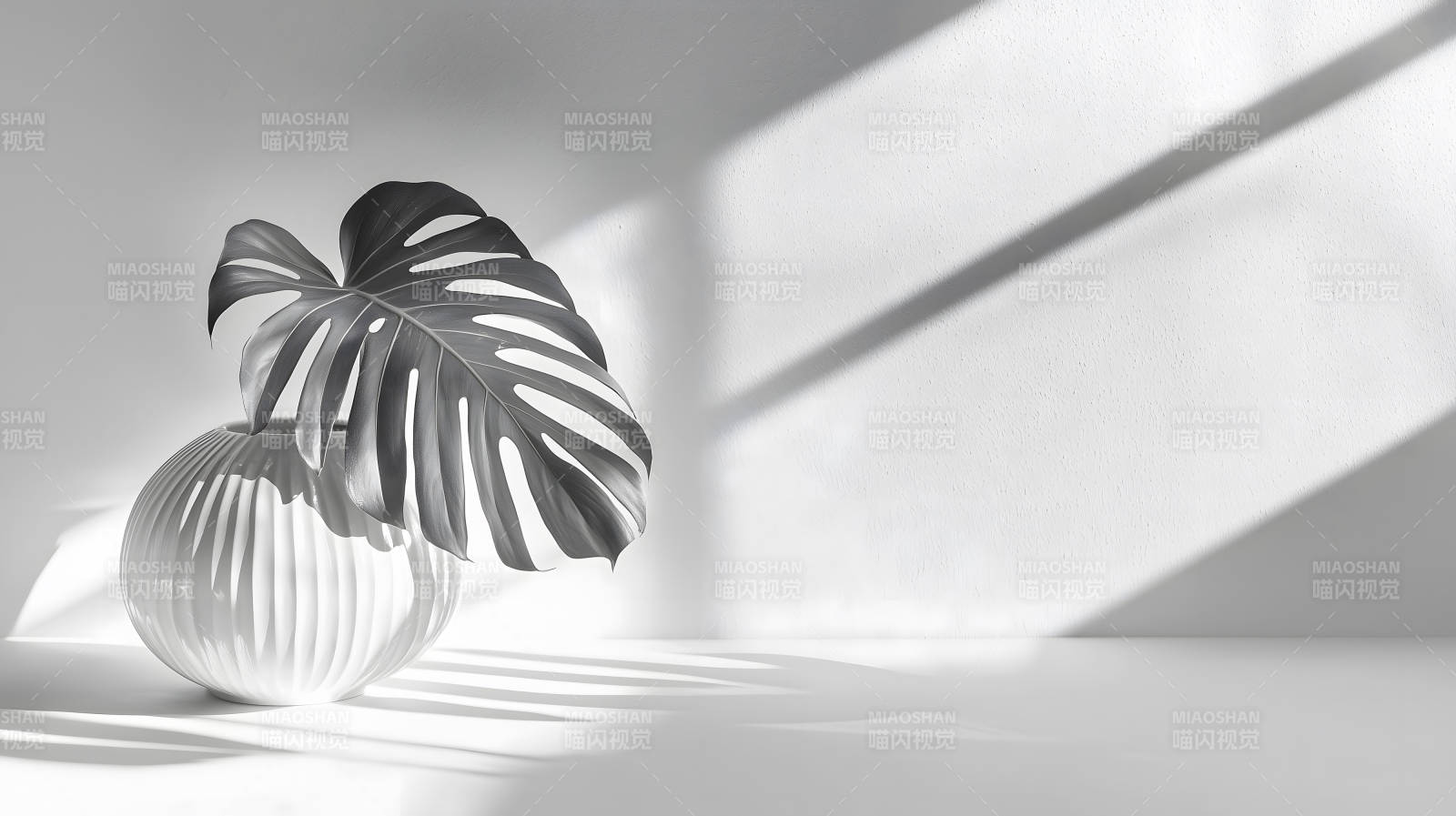 简约室内黑白叶插白瓶映墙图片