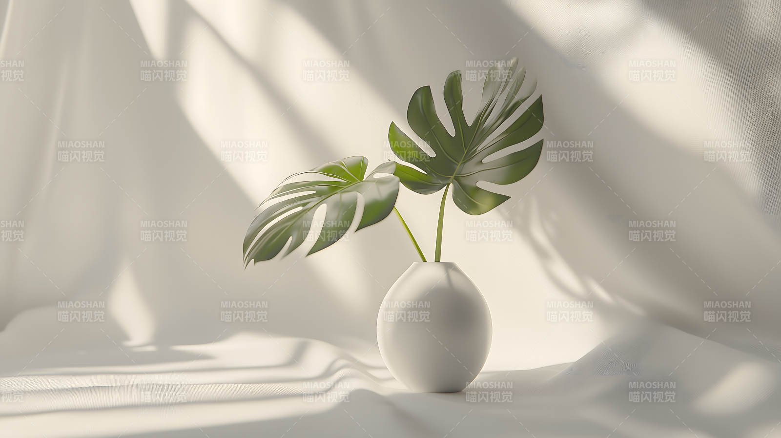 绿植白瓶简约现代阴影添韵图片