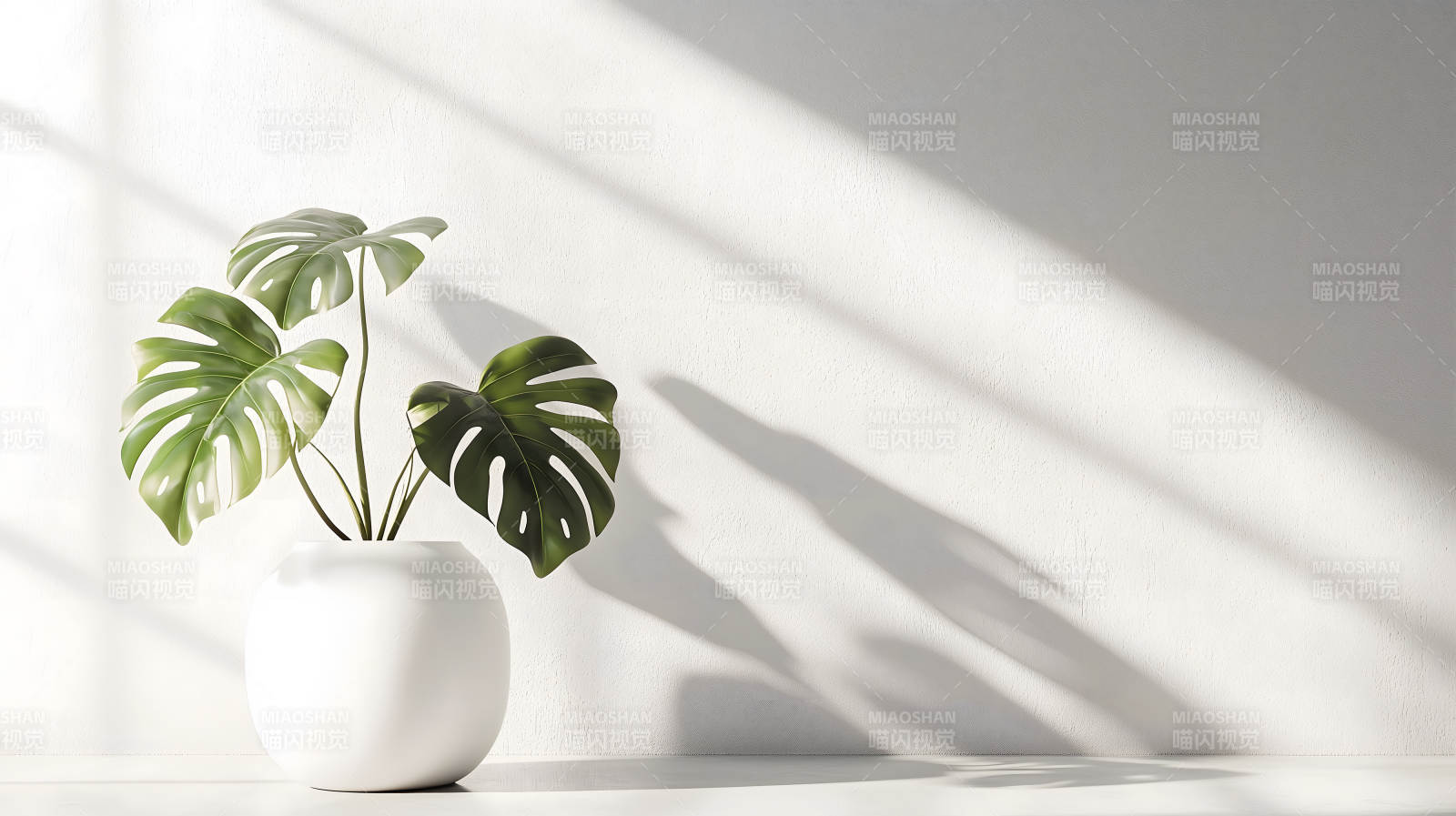 绿植白瓶简约现代阴影添韵图片