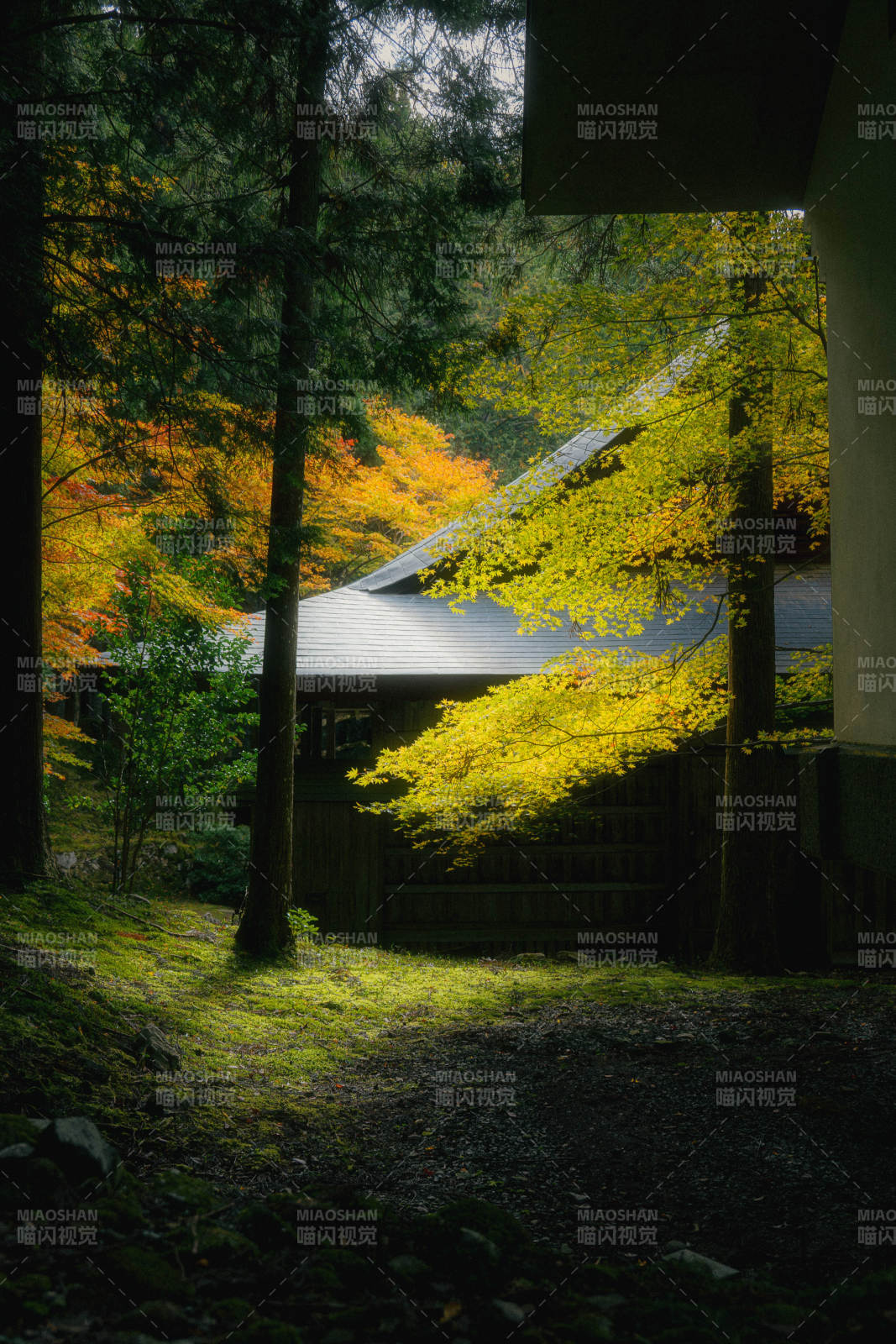 京都来迎院秋林小屋光影图片