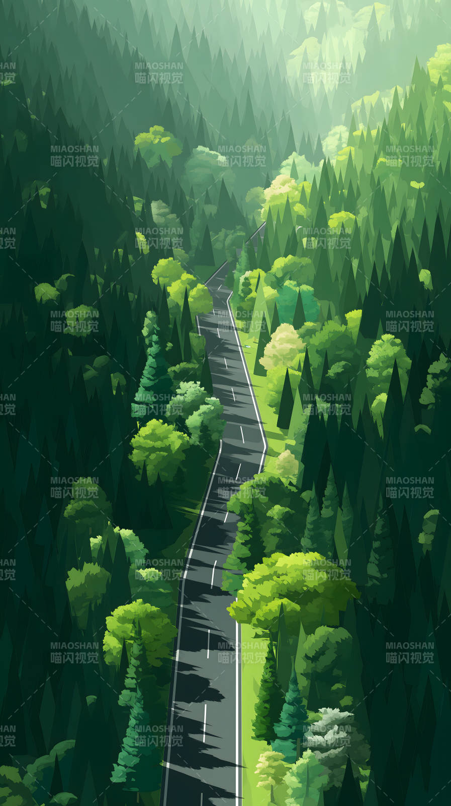森林公路的俯瞰图图片