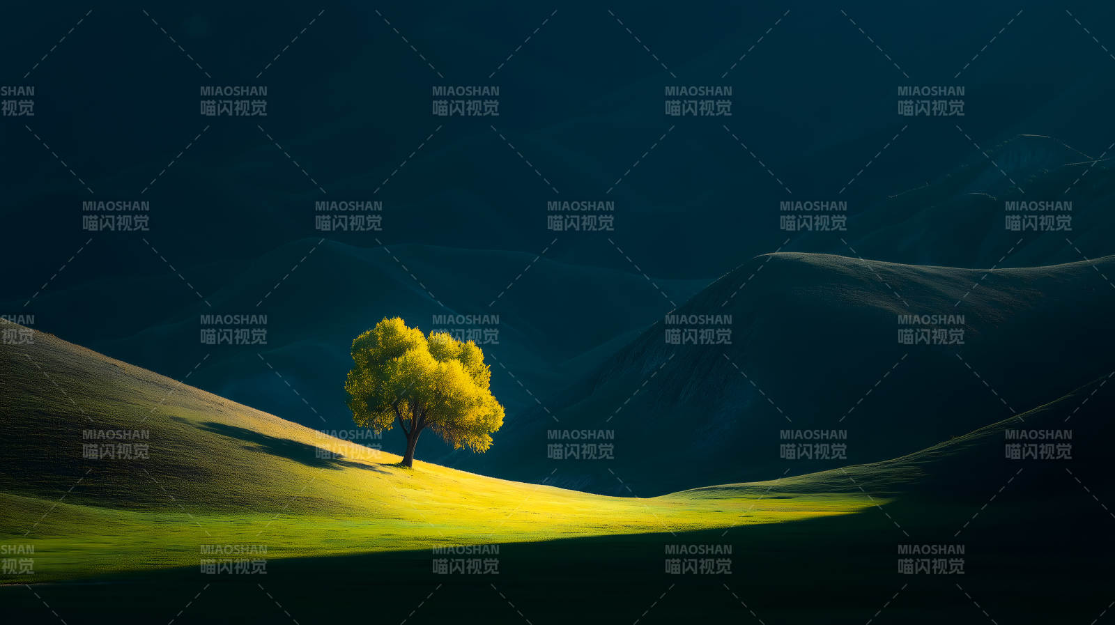 孤独的金色树与山峦图片