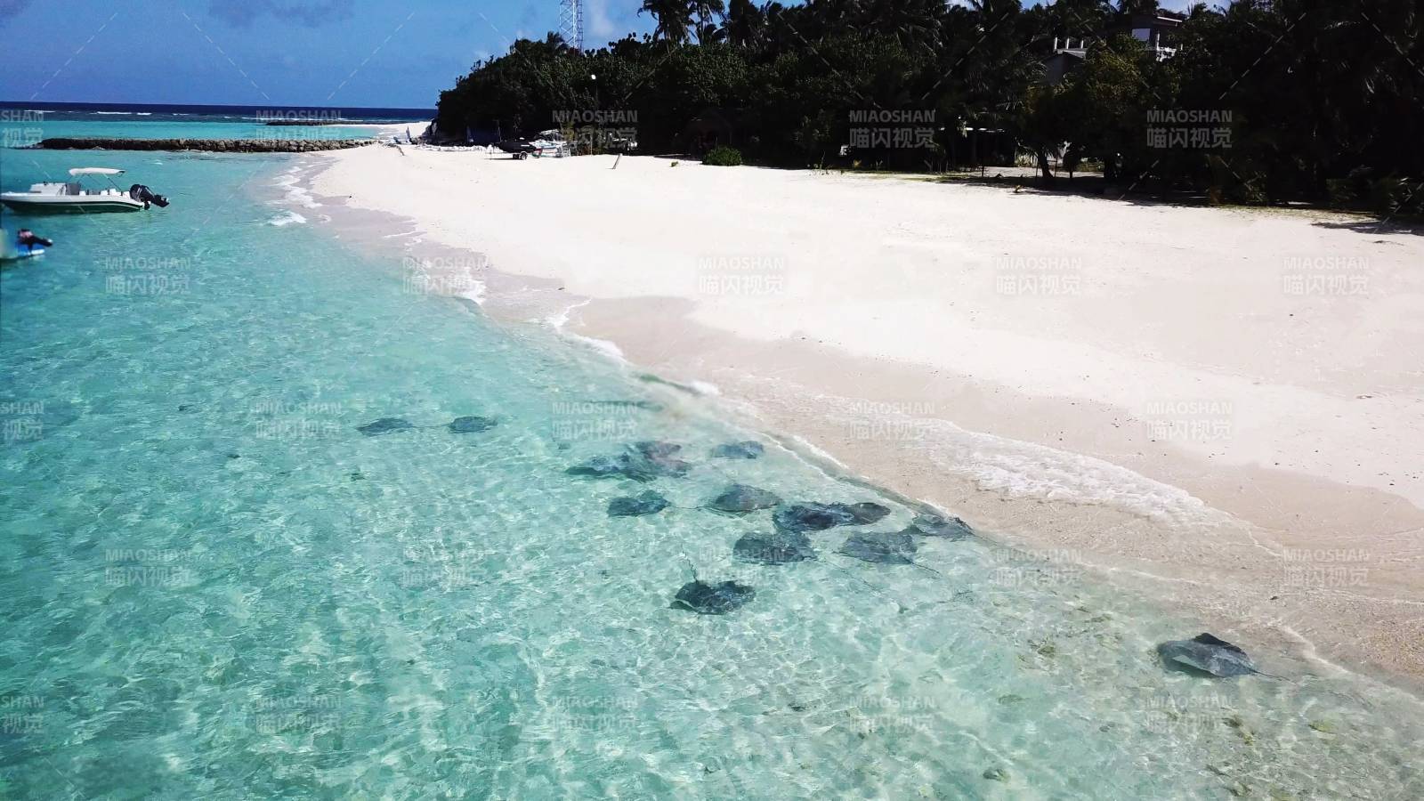 马尔代夫 居民岛 碧海白沙 静谧天堂图片