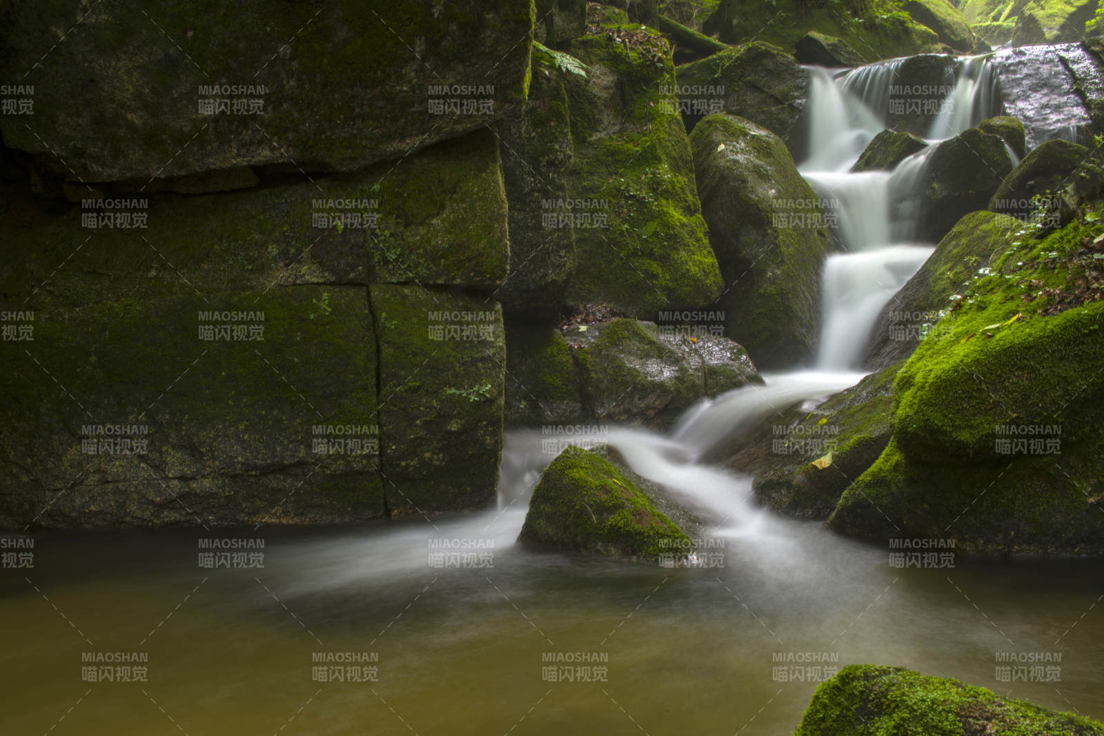 溪流穿石 绿意盎然图片