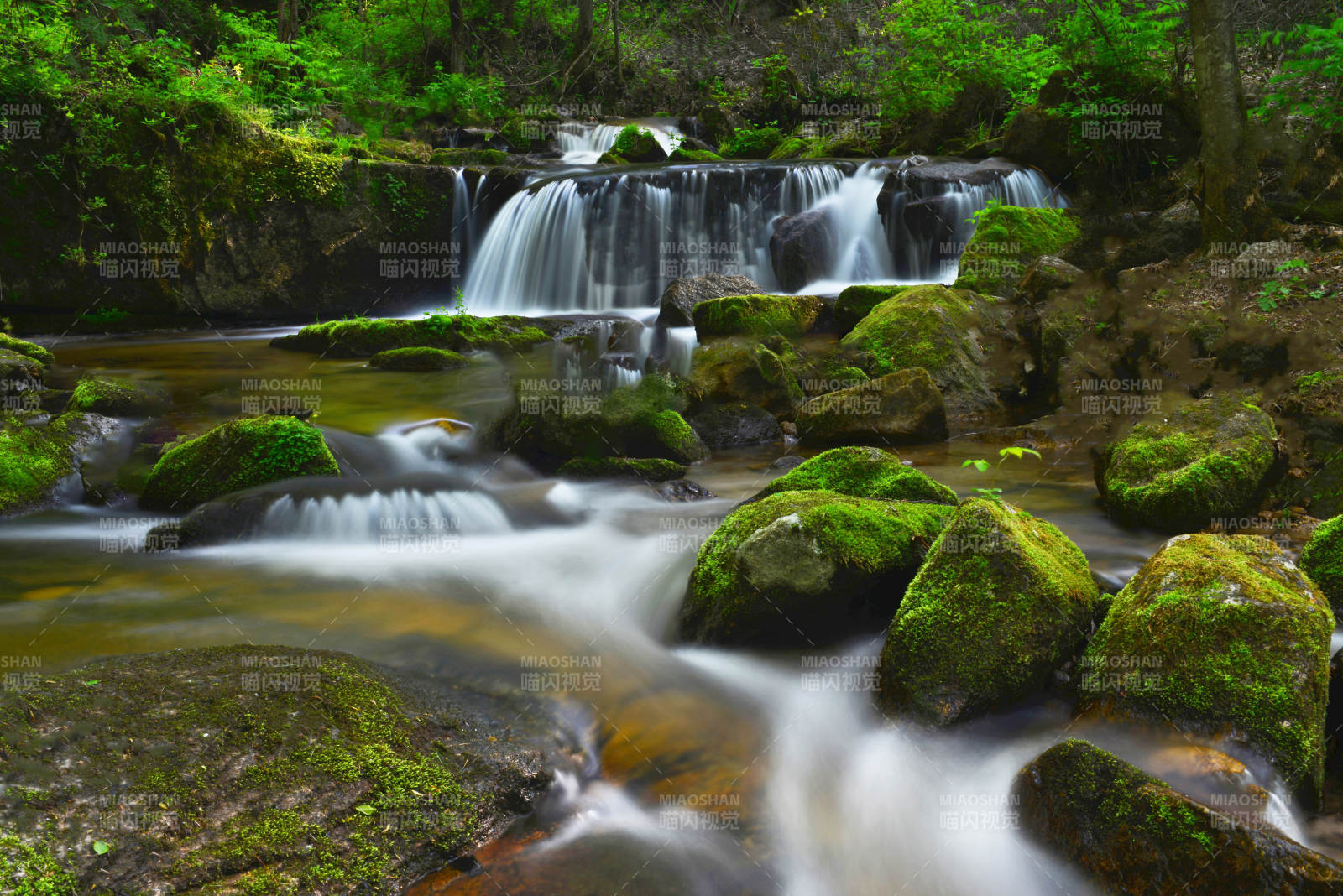 家乡的溪流图片