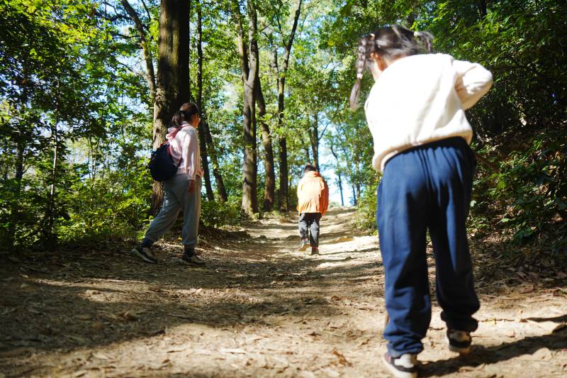 林间小径漫步图片