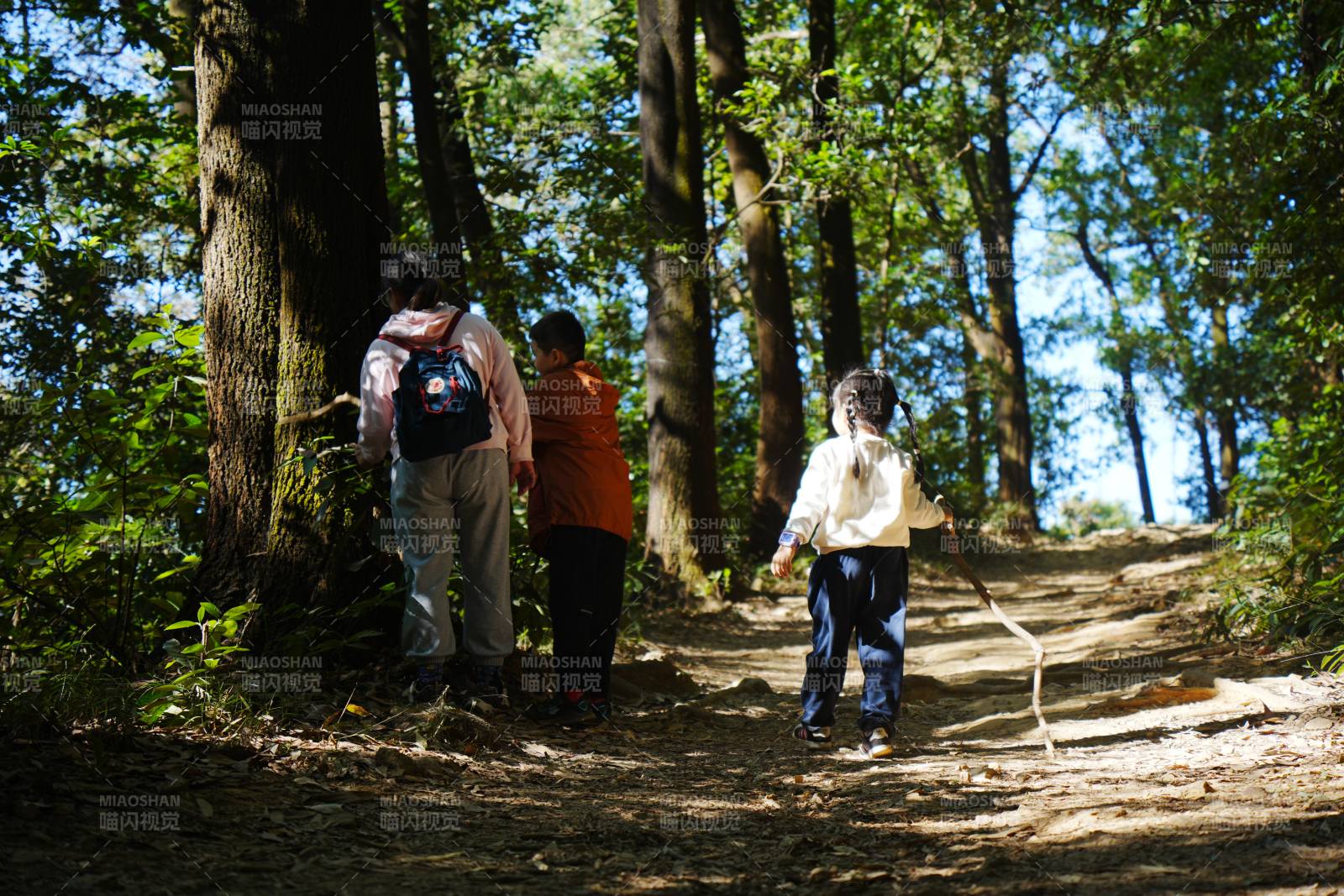 林间小径三人行图片