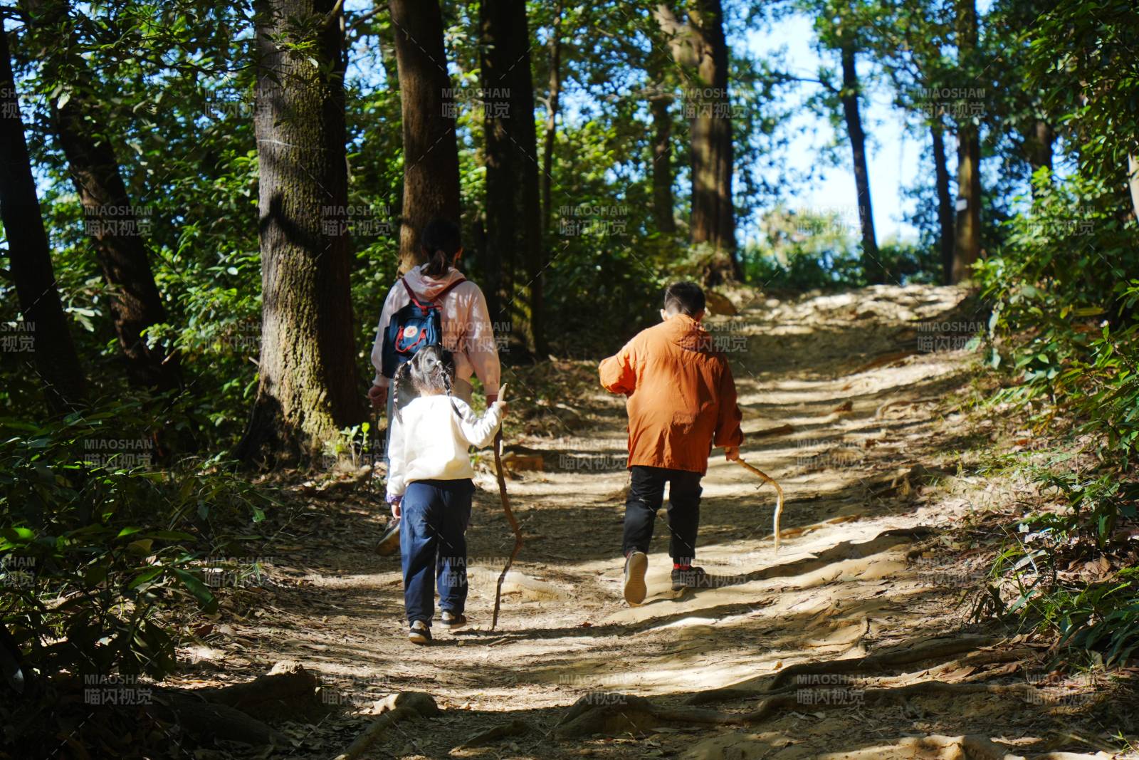 林间徒步三人行图片