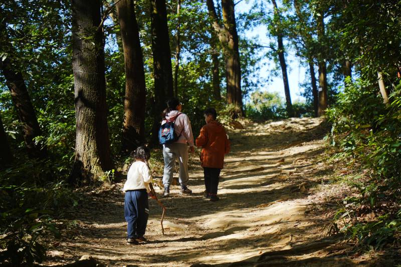 林间徒步三人行图片