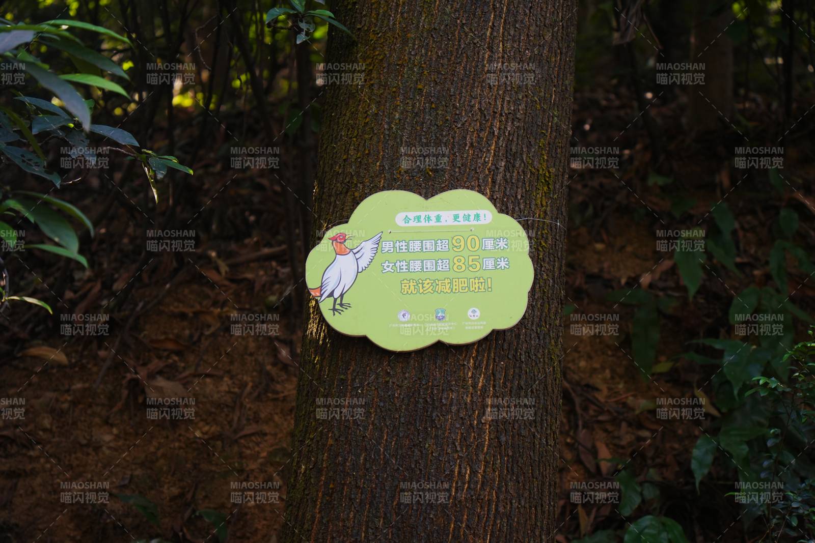 树上警示牌图片