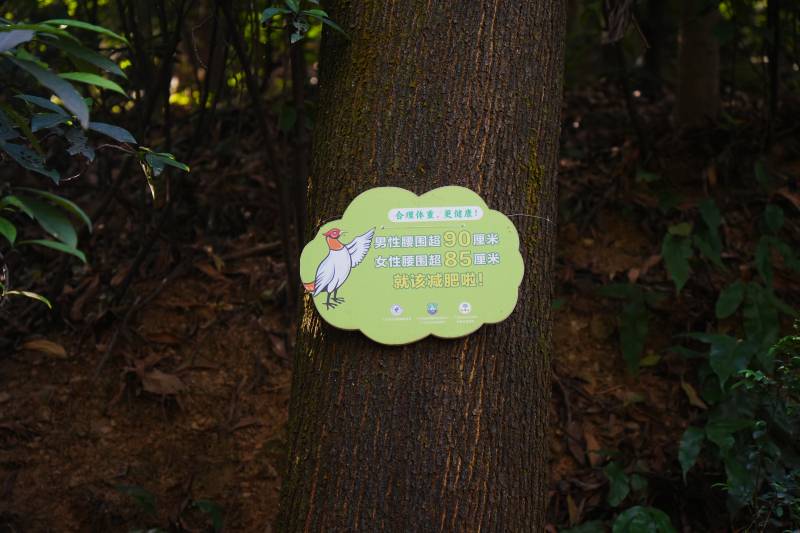 树上警示牌图片