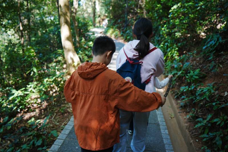 林间携手同行图片