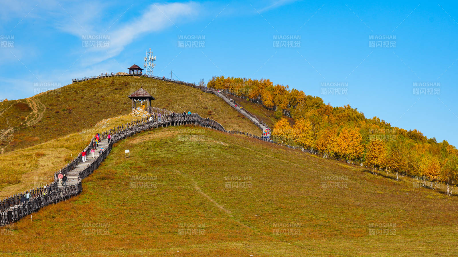 乌兰布统影视基地秋山步道游人如织图片
