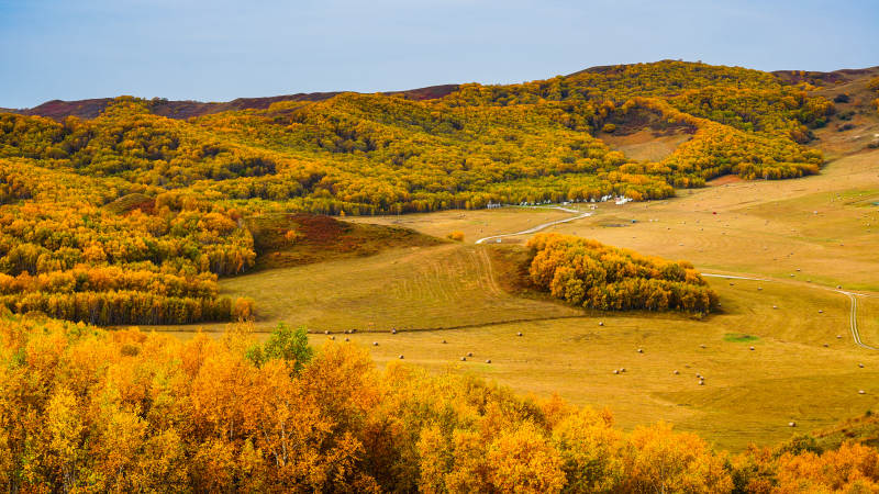 乌兰布统秋日山野风光图片
