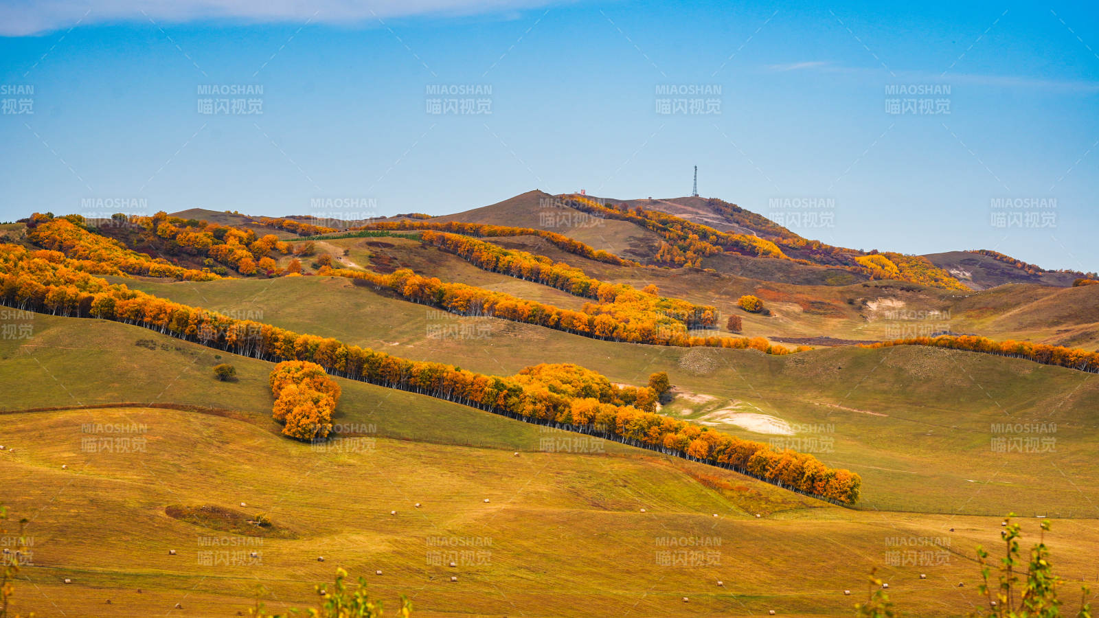乌兰布统秋日山丘美景图片