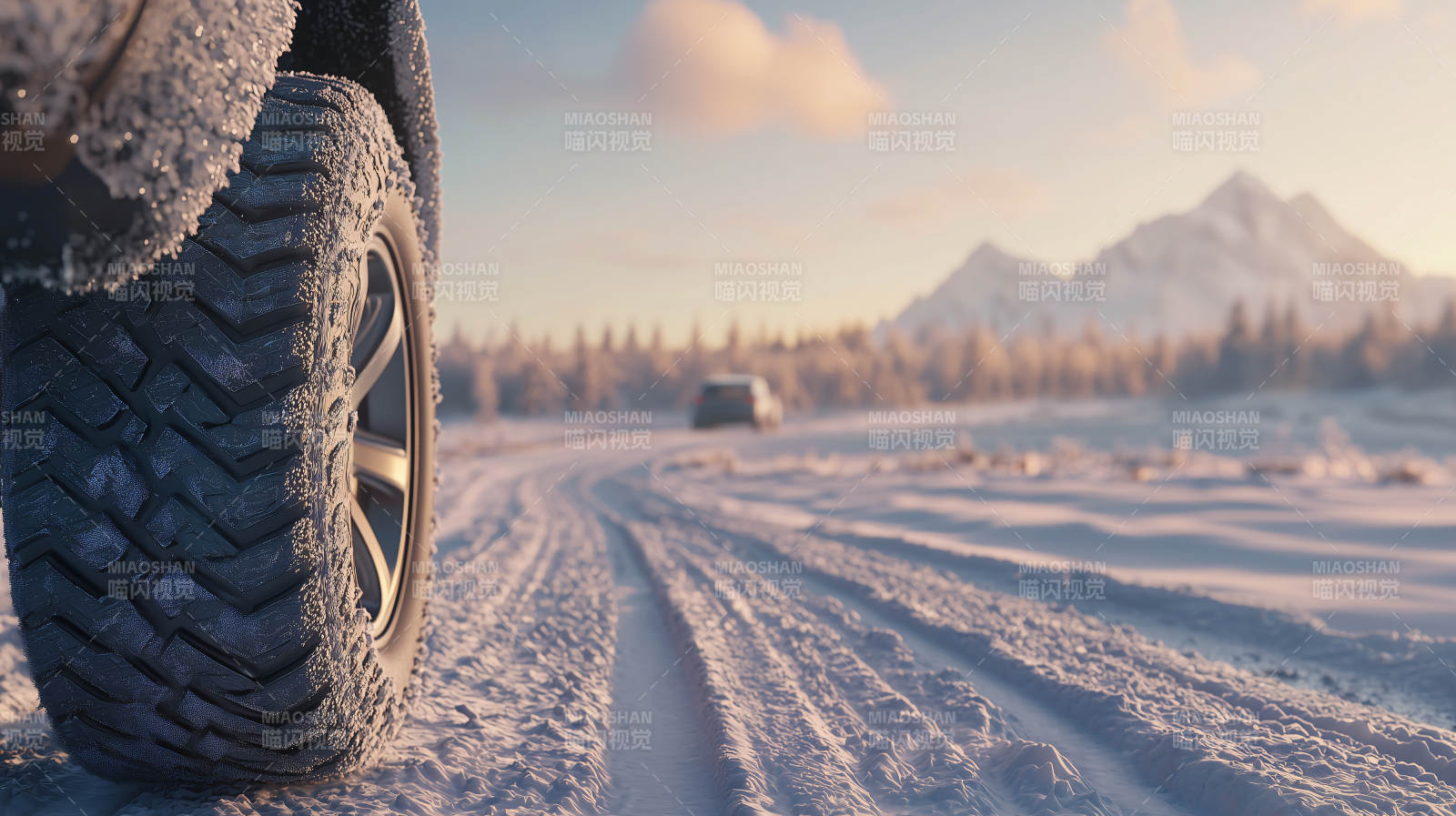 雪地里的冬胎图片