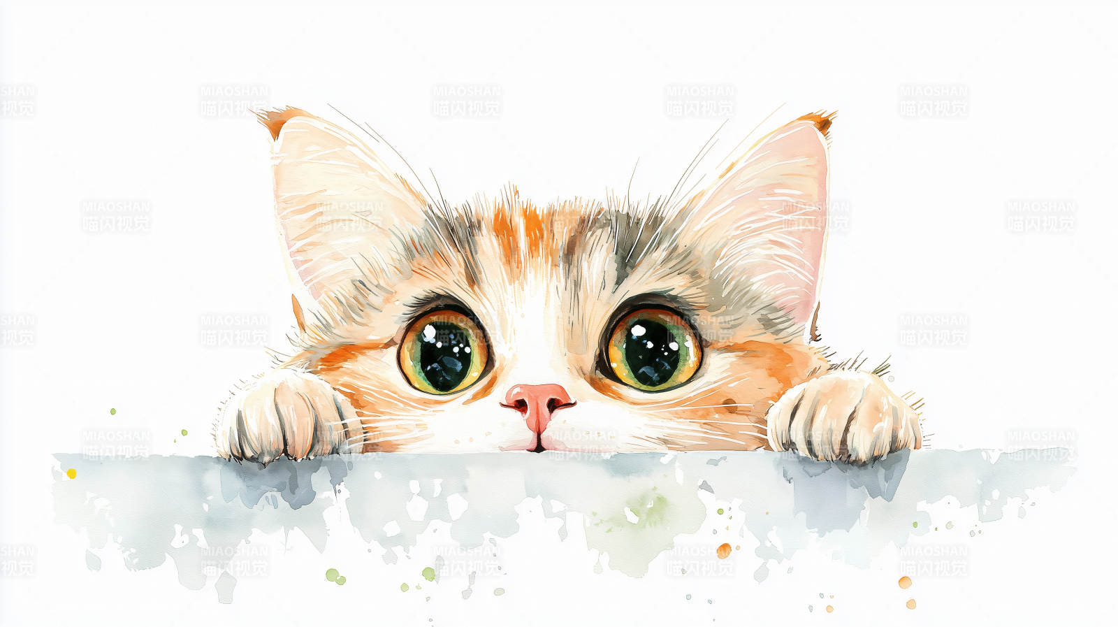 偷偷探头的小猫图片