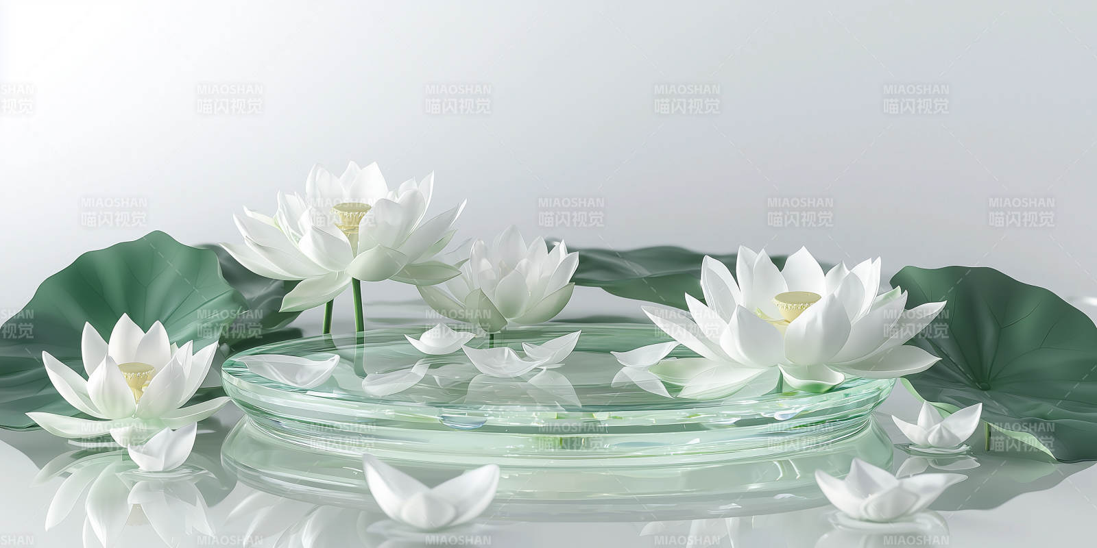 宁静致远的莲花图片