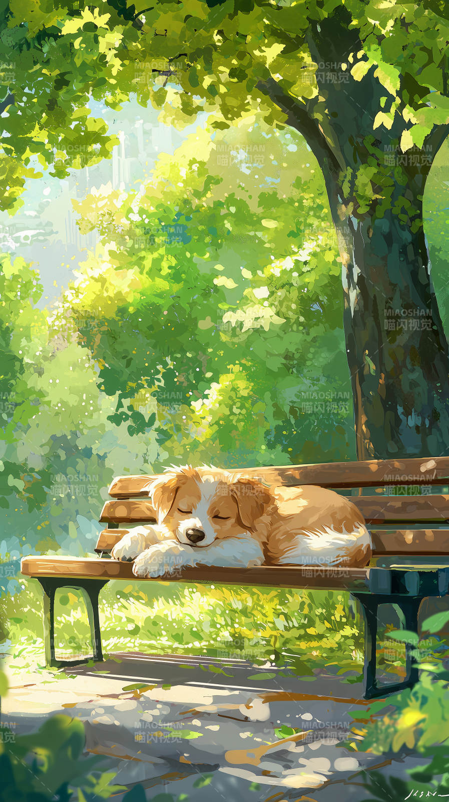 金毛犬午后阳光下的休憩图片