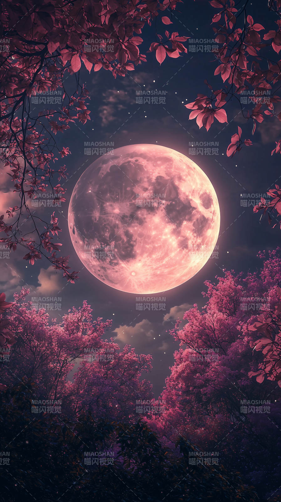 梦幻樱花与满月图片