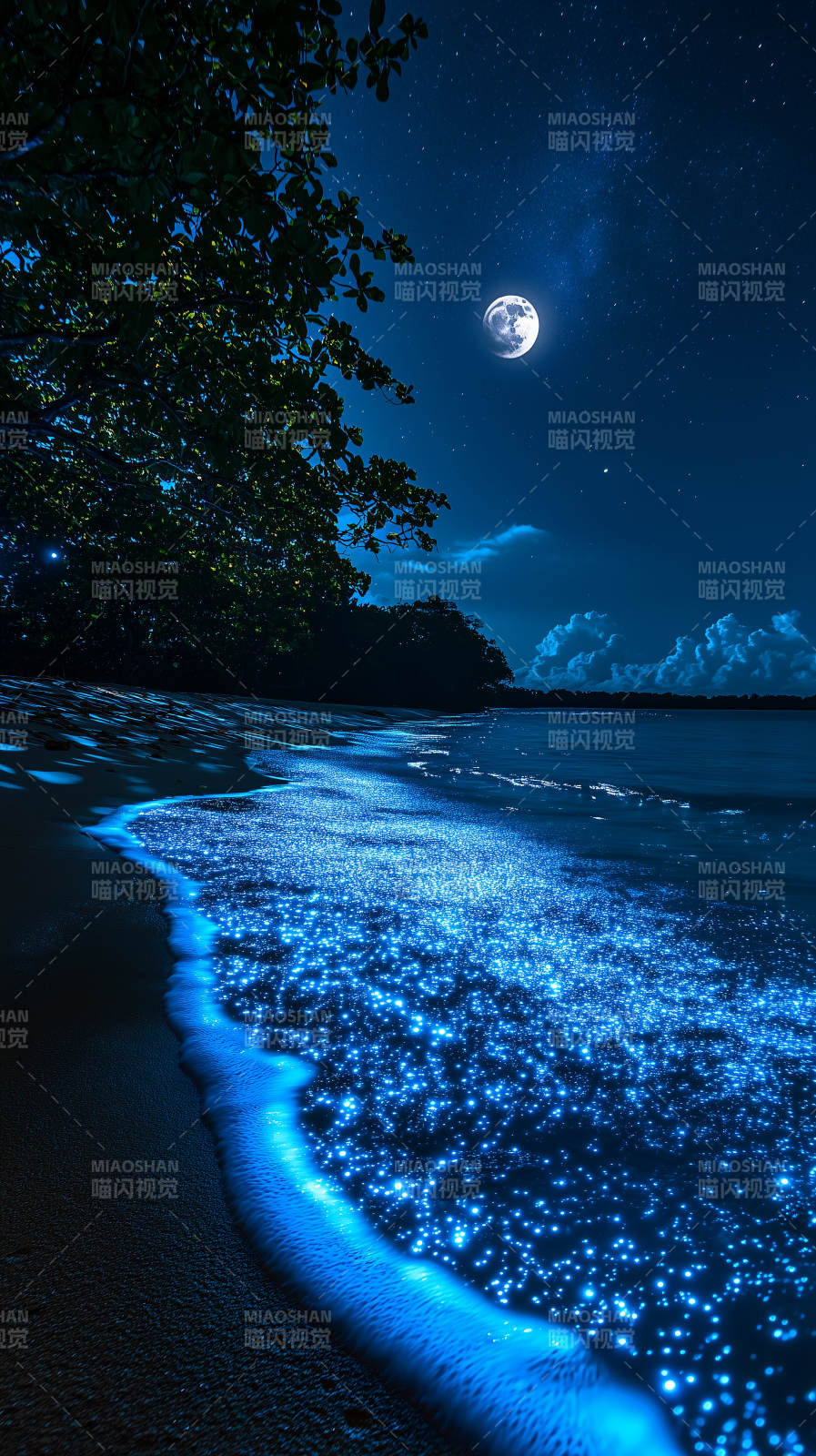 夜光海滩的梦幻星夜图片