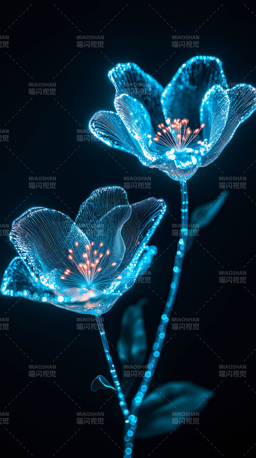 梦幻光影花朵图片