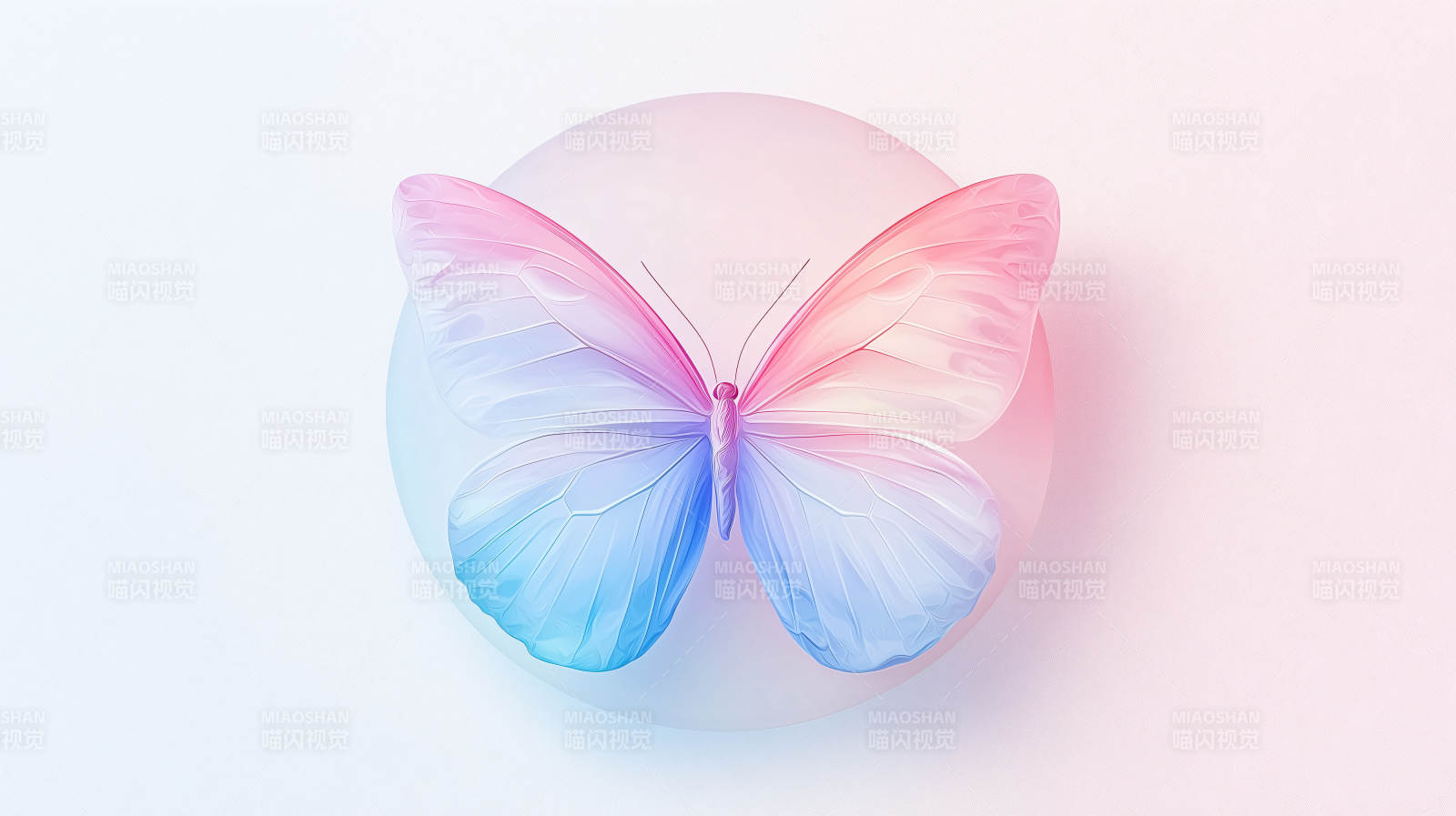梦幻蝶影图片