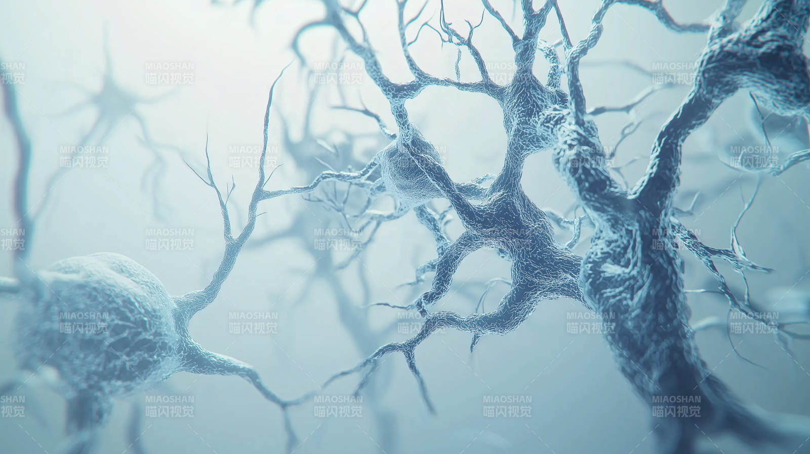 神经元网络图片