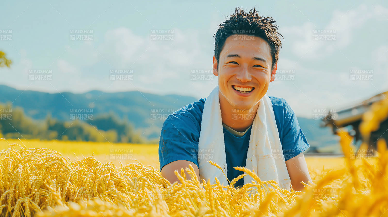 金秋稻田笑颜图片