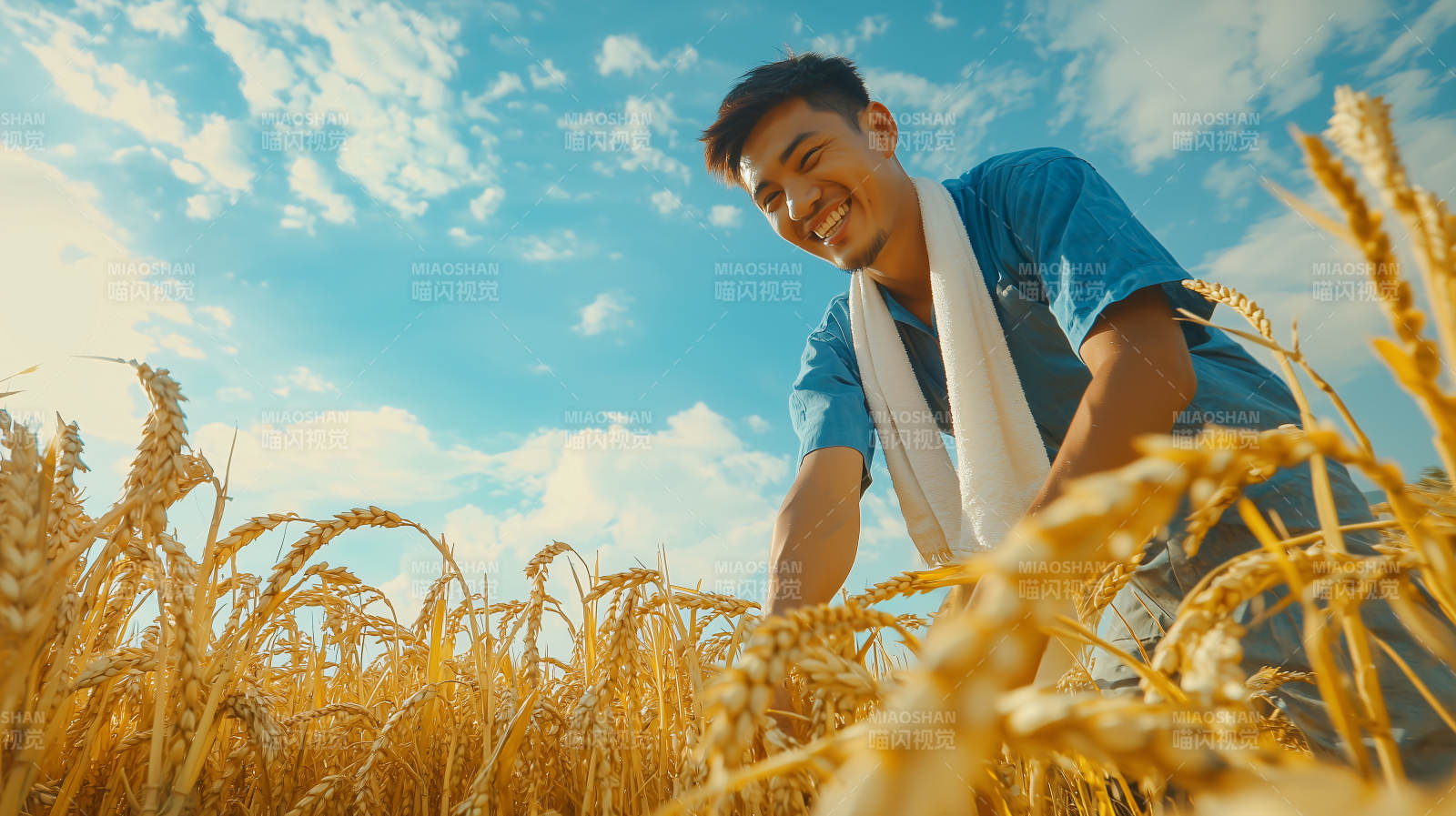 金秋稻田笑颜图片