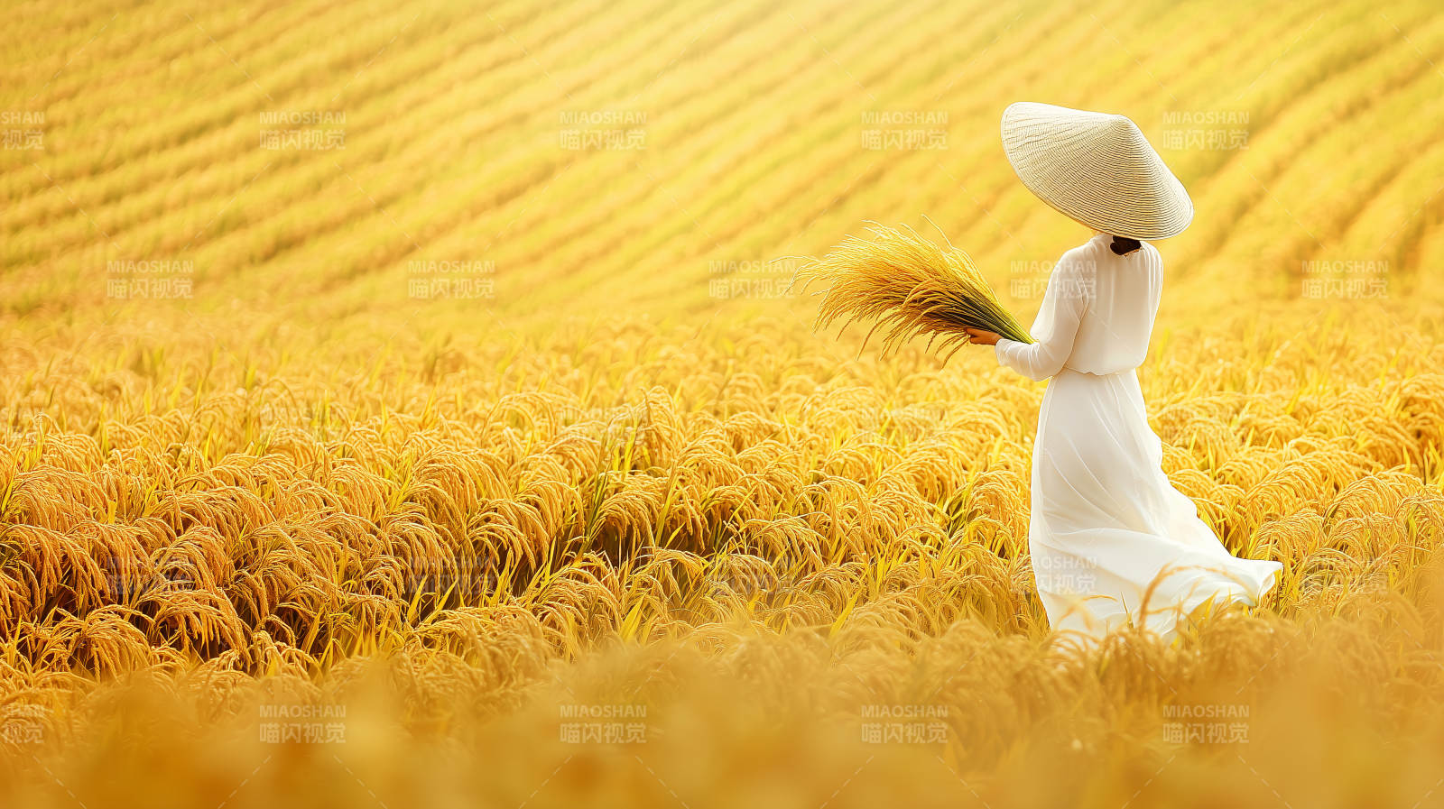 金田拾穗人图片