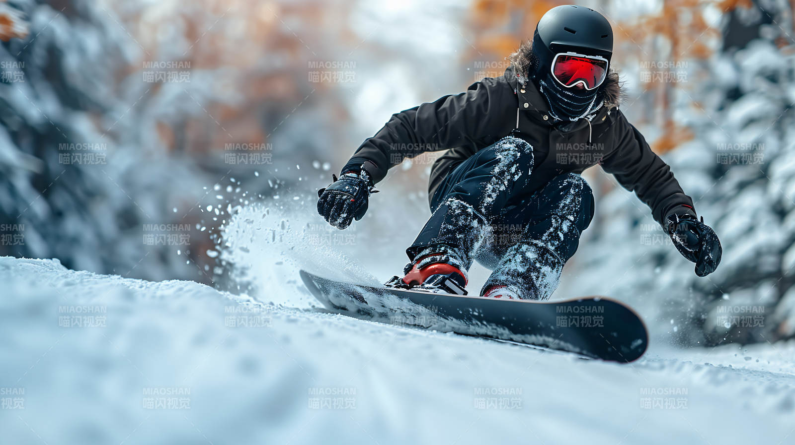 雪地疾驰 尽享滑雪乐趣图片