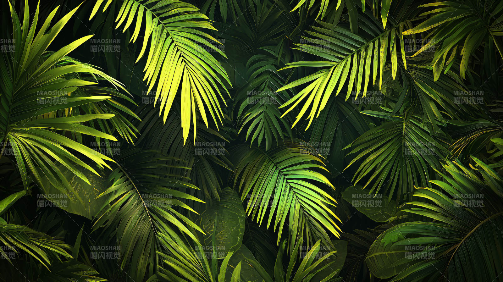 热带绿叶背景图片